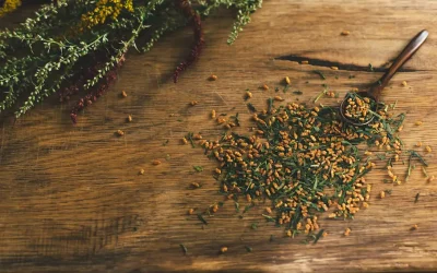 Genmaicha – “Popcorn-Tee”