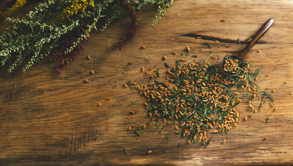 Genmaicha – “Popcorn-Tee”