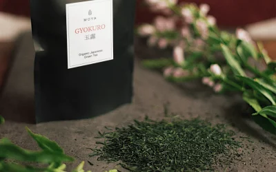 Kostbarer Gyokuro